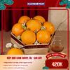  Giỏ Quà Tết Cam Vàng Úc 