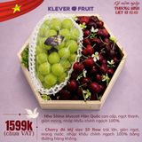  Hộp Quà Trái Cây Tri Ân 27/7 - Tâm gửi 