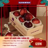  Hộp Quà Tết Xuân Đào Trắng Úc 