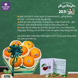  Hộp Quà Quýt Úc Tặng 20/11 – Món Quà Tri Ân Thầy Cô Dịu Ngọt 