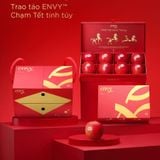  Hộp Quà Tết Táo Envy Mỹ 
