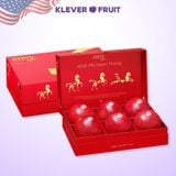  Hộp Quà Tết Táo Envy Mỹ 