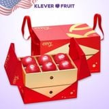  Hộp Quà Tết Táo Envy Mỹ 