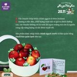  Hộp Táo Quà Tặng Thầy Cô 20/11 