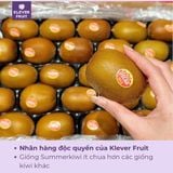  Kiwi Vàng Pháp - Kiwi Oscar Pháp 