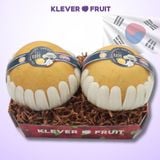  Lê Hàn Quốc - Lê Singo Hàn Quốc 