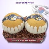  Lê Hàn Quốc VIP- Lê Singo Hàn Quốc 