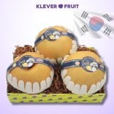  Lê Hàn Quốc - Lê Singo Hàn Quốc 