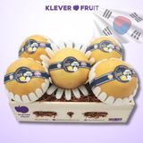  Lê Hàn Quốc VIP- Lê Singo Hàn Quốc 