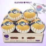  Lê Hàn Quốc - Lê Singo Hàn Quốc 