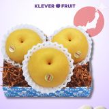  Lê Nhật Bản - Giống Hosui 