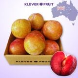  Mận Autumn Honey Úc 