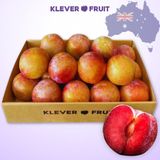  Mận Autumn Honey Úc 