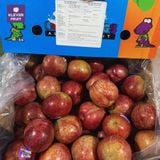  Mận Autumn Honey Úc 