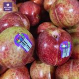  Mận Autumn Honey Úc 