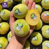  Mận Emerald Blush Úc 