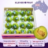  Mận Úc Trứng Rùa Turtle Egg – Mận Siêu Ngọt Từ Úc 