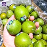  Mận Úc Trứng Rùa Turtle Egg – Mận Siêu Ngọt Từ Úc 