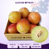 Mận Úc October Sun tại Klever Fruit