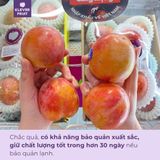  Mận Úc October Sun 