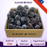  Nho Đen Không Hạt Chile 