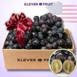  Nho Đen Không Hạt Mỹ VIP - Nho Adora Quả To Ngọt Đậm 