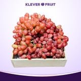  Nho Đỏ Không Hạt Úc 