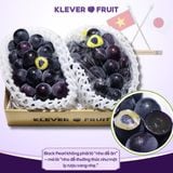  Nho Giống Nhật Black Pearl 