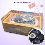  Nho Giống Nhật Black Pearl 