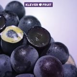  Nho Giống Nhật Black Pearl 