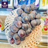  Nho Rượu Kyoho Hàn Quốc 