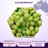  Nho Xanh Không Hạt Úc - Nho Autumn Crisp 