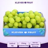  Nho Xanh Không Hạt Mỹ VIP - Nho Autumn Crisp Quả To Giòn Ngọt 