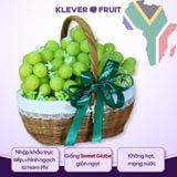  Nho xanh Sweet Globe Nam Phi 