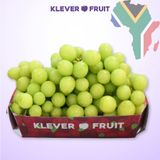  Nho xanh Sweet Globe Nam Phi 