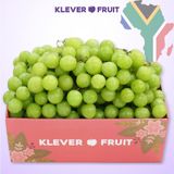  Nho xanh Sweet Globe Nam Phi 