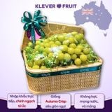  Nho Xanh Không Hạt Úc - Nho Autumn Crisp 