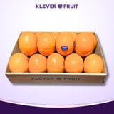  Quýt 2PH Nội Địa Trung (Có Hàng Tại HCM) 