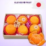  Quýt Nhật Bản 