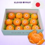  Quýt Nhật Bản 