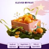  Quýt Sim Việt Nam 