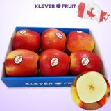  Táo Ambrosia Canada Size Nhỏ - Táo Canada 