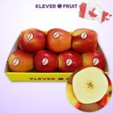  Táo Ambrosia Canada Size Nhỏ - Táo Canada 