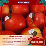 Lẵng Quà Tết Táo Ever Crisp Mỹ 