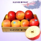  Táo Ever Crisp New Zealand Size Nhỏ - Táo New Zealand 