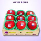  Khay Gỗ 09 Quả Táo Fuji Nhật Bản 