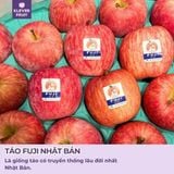  Hộp Quà 04 Quả Táo Fuji Nhật Bản 