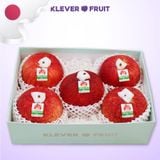  Táo Đỏ Sekaiichi Nhật Bản - Dòng Táo Khổng Lồ Nhật Bản 