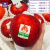 Táo Đỏ Sekaiichi Nhật Bản - Dòng táo to nhất Thế Giới tại Klever Fruit