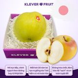  Táo Toki Nhật Bản - Táo Vàng Nhật Bản 